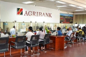 Agribank ước lãi nửa năm khoảng 5.000 tỷ đồng